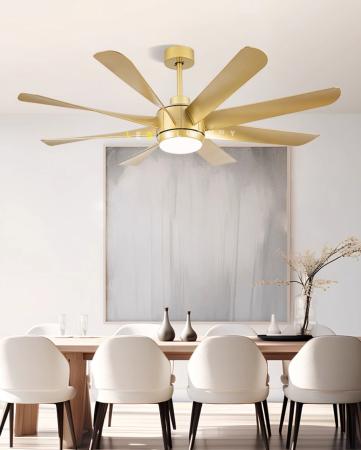 Quạt Trần Hiện Đại ERFANSN-6017V