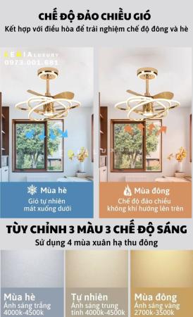 Quạt Trần Cao Cấp VENUS005
