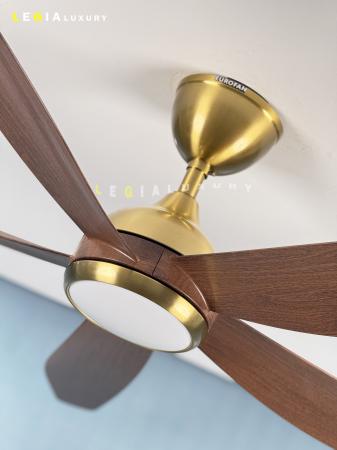 Quạt Trần Hiện Đại EUROFAN ERF866MV