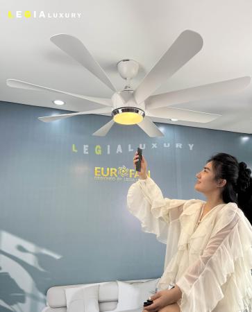 Quạt Trần Hiện Đại EUROFAN ERF888T