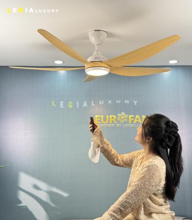 Quạt Trần Hiện Đại EUROFAN ERF866V