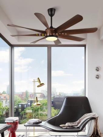 Quạt Trần Hiện Đại ERFANSN-6017G