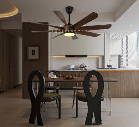 Quạt Trần Hiện Đại ERFANSN-6017G