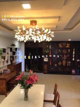 Đèn thả hiện đại  DT016T