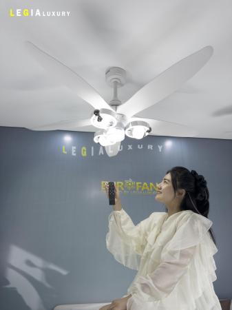 Quạt Trần Phòng Khách Năm Cánh Cao Cấp ERFAN966T
