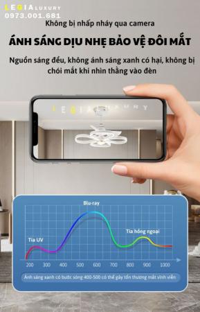 Quạt Trần Cao Cấp VENUS006