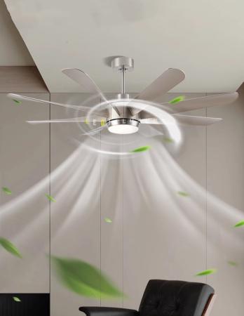 Quạt Trần Hiện Đại ERFANSN-6017B