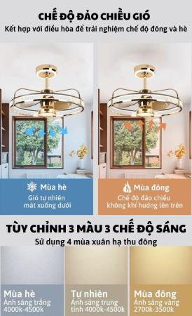 Quạt Trần Cao Cấp VENUS001
