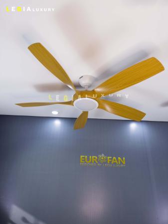 Quạt Trần Phòng Khách Hiện Đại ERFAN636V