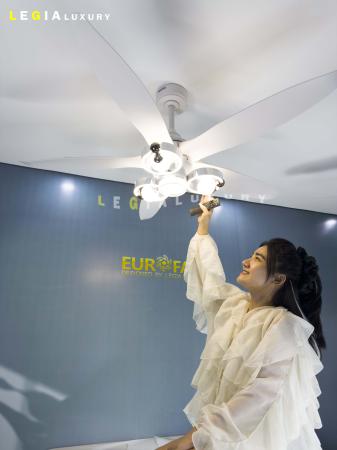 Quạt Trần Phòng Khách Năm Cánh Cao Cấp ERFAN966T
