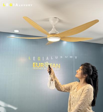 Quạt Trần Hiện Đại EUROFAN ERF866V