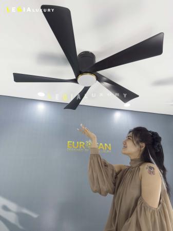 Quạt Trần Cổ Ngắn Chung Cư ERF668D