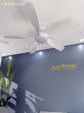 Quạt Trần Phòng Khách Hiện Đại ERFAN636T