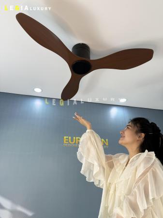 Quạt Trần Cổ Ngắn Trần Thấp Smart ERF666D