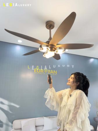 Quạt Trần Phòng Khách Năm Cánh Cao Cấp ERFAN966