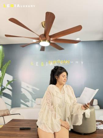 Quạt Trần Hiện Đại EUROFAN ERF888V