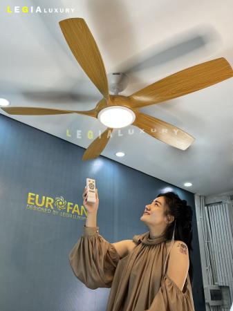 Quạt Trần Phòng Khách Hiện Đại ERFAN636V