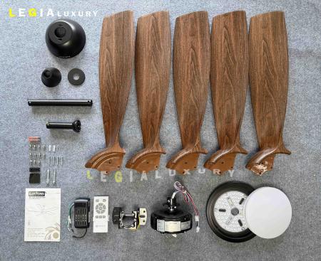 Quạt Trần Phòng Khách Hiện Đại ERFAN636G