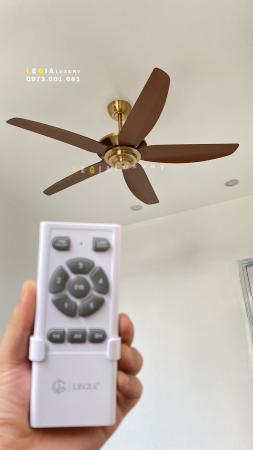 Quạt trần hiện đại Strong Wind LGFAN869MV