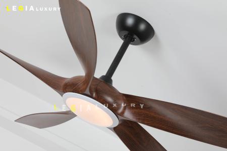 Quạt Trần Phòng Khách Hiện Đại ERFAN636G