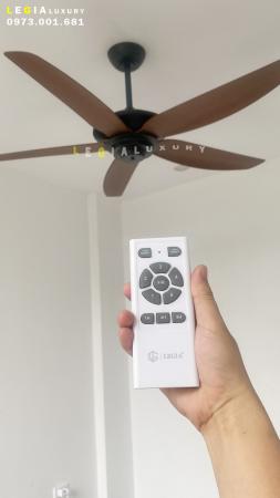 Quạt trần hiện đại Strong Wind LGFAN869G