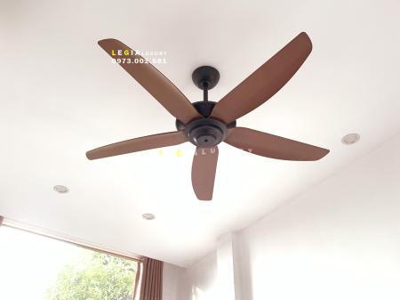 Quạt trần hiện đại Strong Wind LGFAN869G