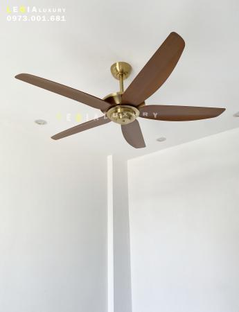 Quạt trần hiện đại Strong Wind LGFAN869MV
