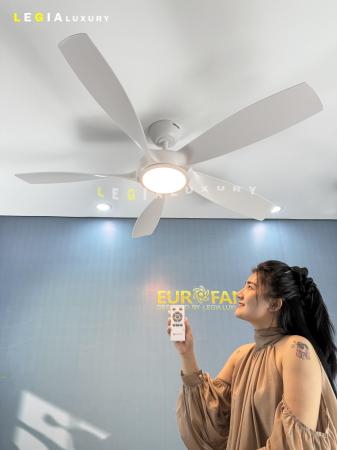 Quạt Trần Phòng Khách Hiện Đại ERFAN636T