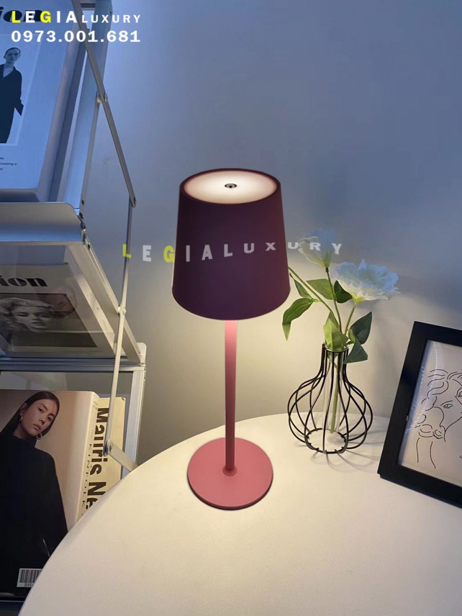 den-ban-cam-ung-DB060H